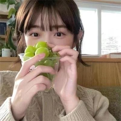 动物学海报