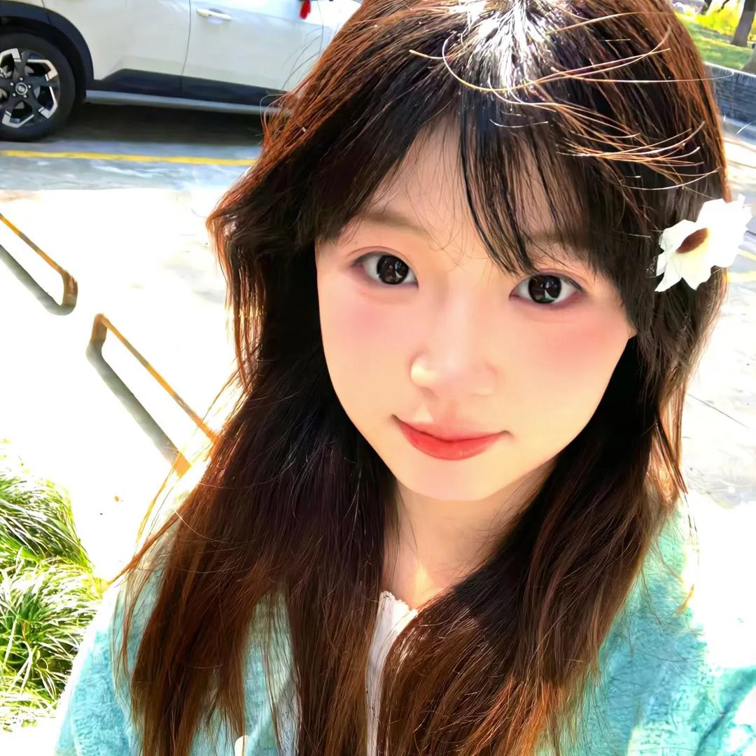 雪豹海报