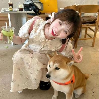 春风物语2023海报